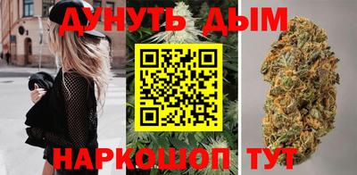 стаф Белореченск