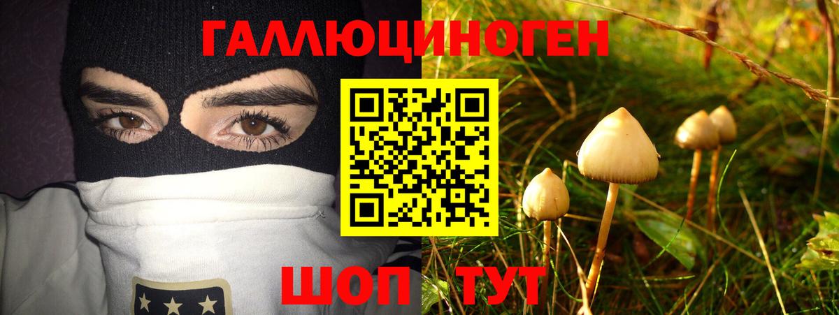 Галлюциногенные грибы ЛСД  где купить наркоту  Архангельск  Вход с VPN 